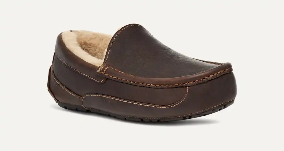 Men's Ascot Slipper