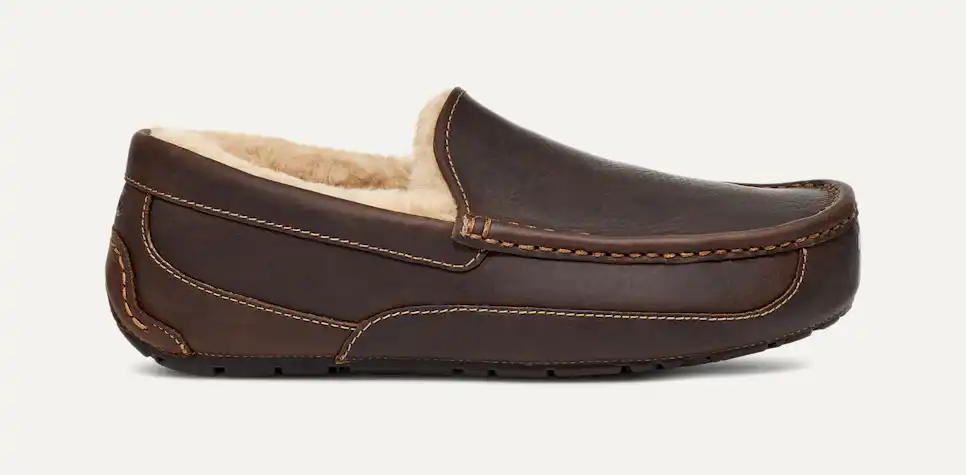 Men's Ascot Slipper